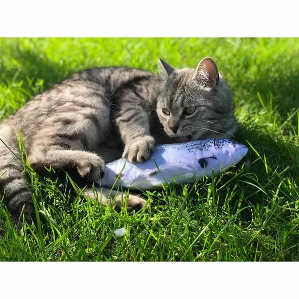 Aumüller Katzenspielkissen Zappel-Forelle 5 Aumüller Katzenspielkissen Zappel-Forelle – Bild 3