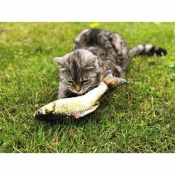 Aumüller Katzenspielkissen Zappel-Karpfen -Haustierprodukte aumueller zappelfisch karpfen 3