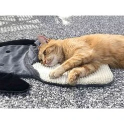 Aumüller Sisalkratzbrett Schmuse-Elefant Mit Katzenminze -Haustierprodukte aumuller sisalkratzbrett schmuse elefant mit katzenminze 4