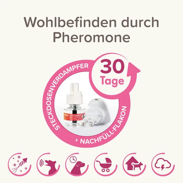 Beaphar CaniComfort® Starter-Kit Für Hunde 5 Beaphar CaniComfort® Starter-Kit Für Hunde – Bild 3