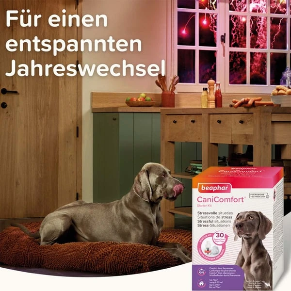 Beaphar CaniComfort® Starter-Kit Für Hunde 9 Beaphar CaniComfort® Starter-Kit Für Hunde – Bild 7