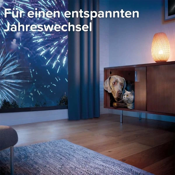 Beaphar CaniComfort® Starter-Kit Für Hunde 10 Beaphar CaniComfort® Starter-Kit Für Hunde – Bild 8