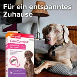 Beaphar CaniComfort® Wohlfühl Halsband -Haustierprodukte beaphar canicomfort wohlfuehl halsband hund 3