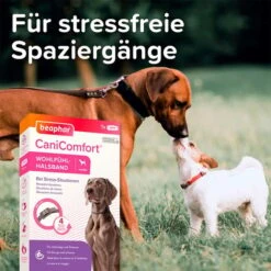 Beaphar CaniComfort® Wohlfühl Halsband -Haustierprodukte beaphar canicomfort wohlfuehl halsband hund 4
