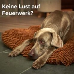 Beaphar CaniComfort® Wohlfühl-Spray Für Hunde 30ml 23 Beaphar CaniComfort® Wohlfühl-Spray Für Hunde 30ml -Haustierprodukte beaphar canicomfort wohlfuhl spray fur hunde 30ml 11