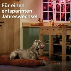 Beaphar CaniComfort® Wohlfühl-Spray Für Hunde 30ml 20 Beaphar CaniComfort® Wohlfühl-Spray Für Hunde 30ml -Haustierprodukte beaphar canicomfort wohlfuhl spray fur hunde 30ml 8