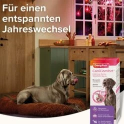 Beaphar CaniComfort® Wohlfühl-Spray Für Hunde 30ml 21 Beaphar CaniComfort® Wohlfühl-Spray Für Hunde 30ml -Haustierprodukte beaphar canicomfort wohlfuhl spray fur hunde 30ml 9
