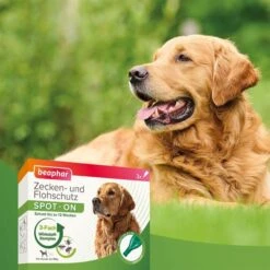 Beaphar Spot On Tropfen Für Große Hunde + Zeckenstift Gratis -Haustierprodukte beaphar spot on tropfen fur grosse hunde 5idvtto8Ld0q5M
