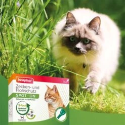 Beaphar Zecken- & Flohschutz SPOT-ON Für Katzen 3er-Pack -Haustierprodukte beaphar zecken und flohschutz spot on fur katzen 5shOUGvMIXVWZU