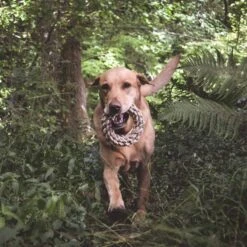 Beco Pets Hundespielzeug Hanf Ring Ø 17 Cm -Haustierprodukte beco pets hundespielzeug hanf ring 1