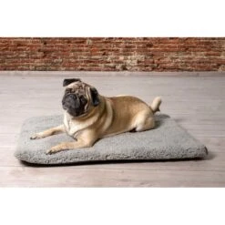Beeztees Orthopädisches Memory Foam Hundekissen Ito -Haustierprodukte beeztees orthopadisches memory foam hundekissen ito 2
