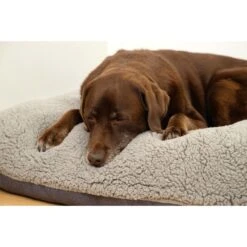 Beeztees Orthopädisches Memory Foam Lounge Hundekissen Ruba 100 X 70 Cm -Haustierprodukte beeztees orthopadisches memory foam lounge hundekissen ruba 3