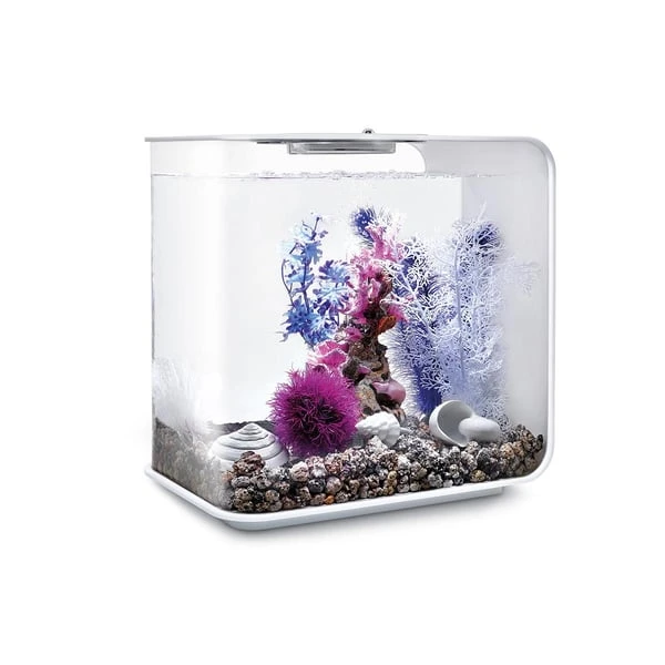 BiOrb Decor Set 30L 4 BiOrb Decor Set 30L – Bild 2