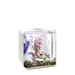 BiOrb Decor Set 30L 10 BiOrb Decor Set 30L -Haustierprodukte biorb deco pinkocean 30 4