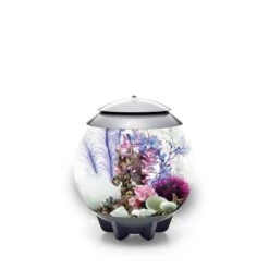 BiOrb Decor Set 30L 11 BiOrb Decor Set 30L -Haustierprodukte biorb deco pinkocean 30 5