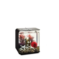 BiOrb Decor Set 15L -Haustierprodukte biorb deco redforrest 15 3