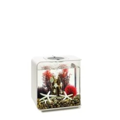 BiOrb Decor Set 15L -Haustierprodukte biorb deco redforrest 15 4