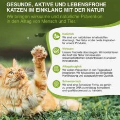 Bogaprotect Spot-On Katze -Haustierprodukte bogaprotect spot on katze s 5r363BjL8SXue3