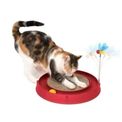 Catit Play 3in1 Circuit Ball Spielzeug Mit Kratzmatte -Haustierprodukte catit play 3in1 Circuit ball spielzeug mit kratzmatte 2