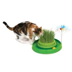Catit Play 3in1 Circuit Ball Spielzeug Mit Katzengras 6 Catit Play 3in1 Circuit Ball Spielzeug Mit Katzengras -Haustierprodukte catit play 3in1 circuit ball spielzeug mit katzengras 2
