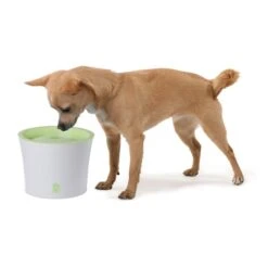 Catit Trinkbrunnen Für Katzen Und Kleine Hunde 3l -Haustierprodukte catit trinkbrunnen fuer katzen und kleine hunde 3l 3