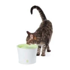 Catit Trinkbrunnen Für Katzen Und Kleine Hunde 3l -Haustierprodukte catit trinkbrunnen fuer katzen und kleine hunde 3l 4