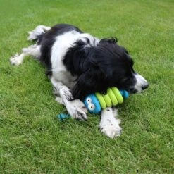 Coockoo Kauspielzeug Larry -Haustierprodukte coockoo kauspielzeug larry 1