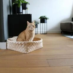 D&D Home Kuschelbett Bodhi Dunkelgrau 52x52x15cm 6 D&D Home Kuschelbett Bodhi Dunkelgrau 52x52x15cm -Haustierprodukte d d home kuschelbett bodhi dunkelgrau 52x52x15cm web 2