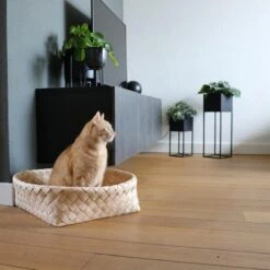 D&D Home Kuschelbett Bodhi Dunkelgrau 52x52x15cm 7 D&D Home Kuschelbett Bodhi Dunkelgrau 52x52x15cm -Haustierprodukte d d home kuschelbett bodhi dunkelgrau 52x52x15cm web 3