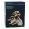 Dennerle Decor Box Bonsai 1 Dennerle Decor Box Bonsai -Haustierprodukte dennerle dekorationsset decor bonsai web 1