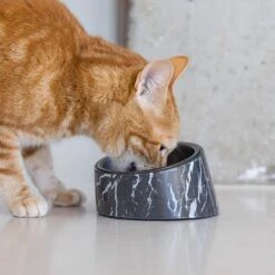 Designed By Lotte Melamin Katzennapf Vita 10 Designed By Lotte Melamin Katzennapf Vita -Haustierprodukte designedbylotte katzennapf vita schwarz 4