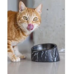 Designed By Lotte Melamin Katzennapf Vita 11 Designed By Lotte Melamin Katzennapf Vita -Haustierprodukte designedbylotte katzennapf vita schwarz 5