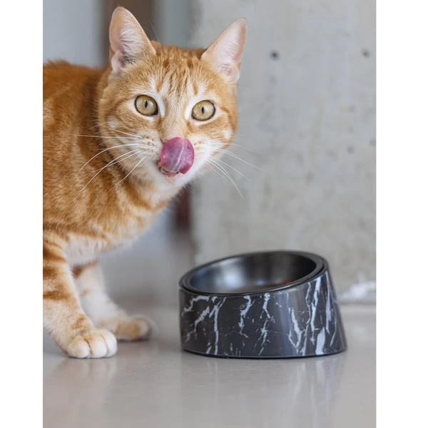 Designed By Lotte Melamin Katzennapf Vita 7 Designed By Lotte Melamin Katzennapf Vita – Bild 5