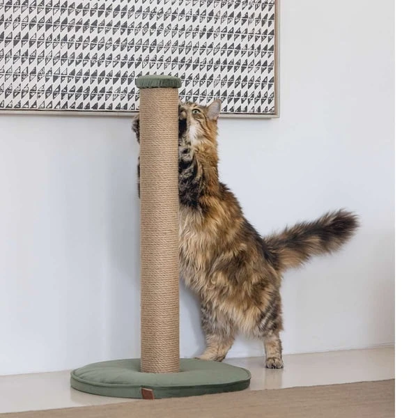 Designed By Lotte Kratzsäule Yenna Grün 41x41x70cm 7 Designed By Lotte Kratzsäule Yenna Grün 41x41x70cm – Bild 5