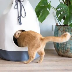 District 70 Katzenhöhle Casa -Haustierprodukte district 70 katzenhohle casa weiss grau 5