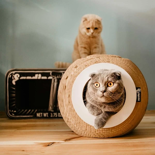 District 70 Katzenhöhle Orb 6 District 70 Katzenhöhle Orb – Bild 4