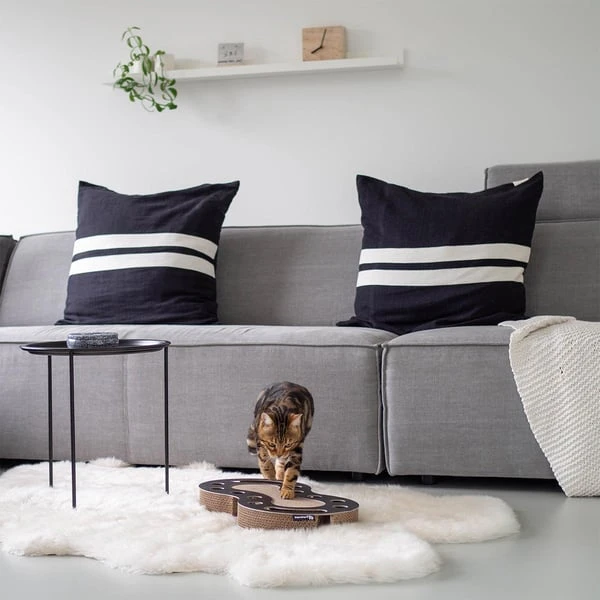 District 70 Kratzpappe Snake 4 District 70 Kratzpappe Snake – Bild 2