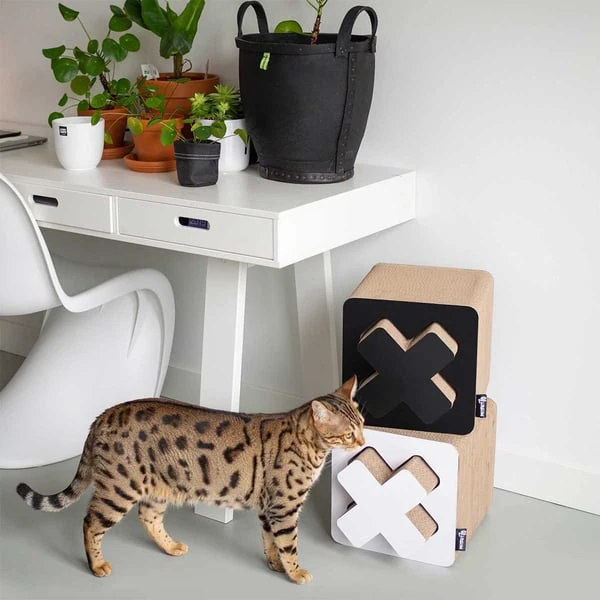 District 70 Kratzpappe Treasure Schwarz 6 District 70 Kratzpappe Treasure Schwarz – Bild 4