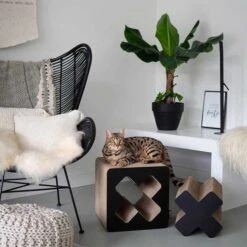 District 70 Kratzpappe Treasure Schwarz 11 District 70 Kratzpappe Treasure Schwarz -Haustierprodukte district 70 kratzpappe treasure schwarz 5