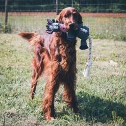 DUVO+ Farm Friends Donald Donkey 49cm 8 DUVO+ Farm Friends Donald Donkey 49cm -Haustierprodukte duvoplus farm friends donald donkey 49cm web 3