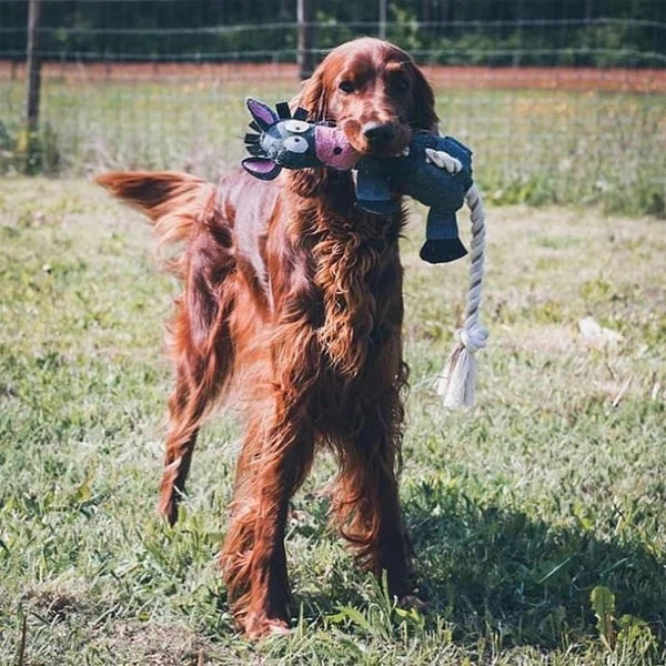 DUVO+ Farm Friends Donald Donkey 49cm 5 DUVO+ Farm Friends Donald Donkey 49cm – Bild 3