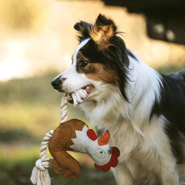 DUVO+ Farm Friends Ruby Rooster 37cm 5 DUVO+ Farm Friends Ruby Rooster 37cm – Bild 3