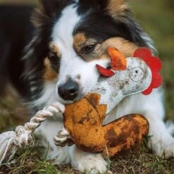 DUVO+ Farm Friends Ruby Rooster 37cm 10 DUVO+ Farm Friends Ruby Rooster 37cm -Haustierprodukte duvoplus farm friends ruby rooster 37cm web 4