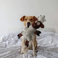 DUVO+ Farm Friends Sebastian Sheep 49cm -Haustierprodukte duvoplus farm friends sebastian sheep 49 cm web 3