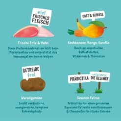 Edgard & Cooper Junior Freilaufente & Huhn -Haustierprodukte edgardcooper JuniorEnteHuhn 6