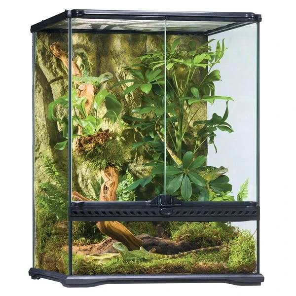Exo Terra Glasterrarium 45x45x60 Cm 3 Exo Terra Glasterrarium 45x45x60 Cm