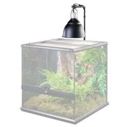 Exo Terra Light Bracket Licht-Klammer -Haustierprodukte exo terra light bracket licht klammer 2595a502a8d063