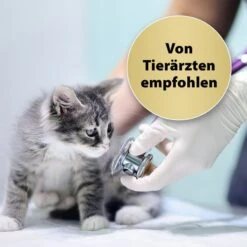 Felisept Home Comfort Raumdiffuser Set Für Katzen 45ml -Haustierprodukte felisept home comfort raumdiffuser set fur katzen 45ml 4