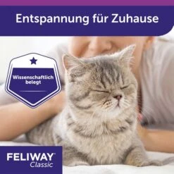 Feliway Classic Verdampfer 1 Monats-Nachfüllflakon 48ml 14 Feliway Classic Verdampfer 1 Monats-Nachfüllflakon 48ml -Haustierprodukte feliway classic verdampfer 1 monats nachfullflakon 48ml 5x8sDvI4DE5Fbo
