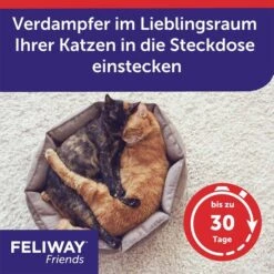 Feliway Friends 30-Tage Nachfüllflakon 48ml 13 Feliway Friends 30-Tage Nachfüllflakon 48ml -Haustierprodukte feliway friends 30 tage nachfullflakon 48ml 4CkqqiZ6zwGLhH